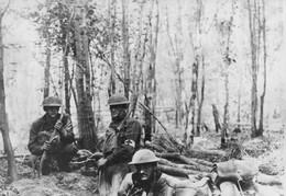 WWI1251B4