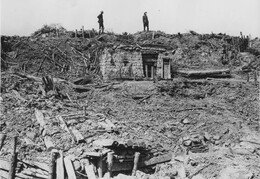 WWI1293WFB3