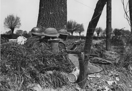 WWI1302WFB3