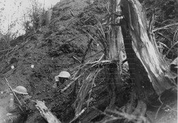 WWI1370WFB3