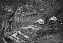 WWI1371WFB3