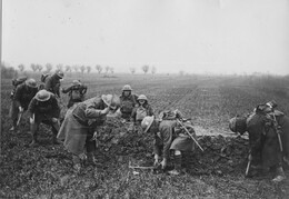 WWI1379WFB3