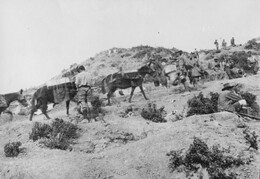 WWI1681B6