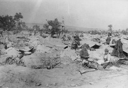 WWI1683B6