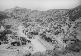 WWI1688B6