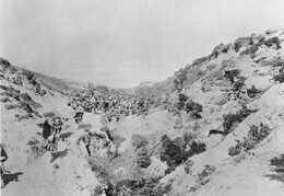 WWI1709B6