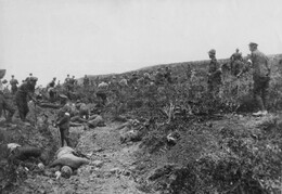 Battlefields
