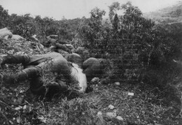 WWI1720B6