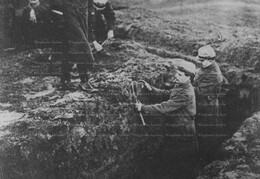 WWI1771B7