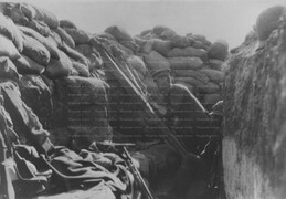 WWI2102GP