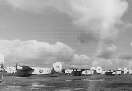 Consolidated Liberator