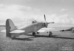 TF895 Hawker Sea Fury 