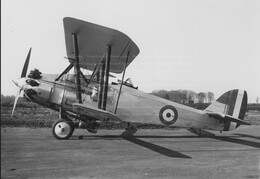 Bristol Beaver
