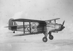 Fairey