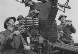 Bofors Gun