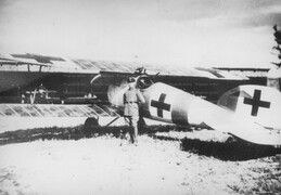 Albatros DVa