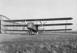 Bristol Type 37 Tramp