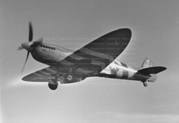 Foreign types in USAAF service