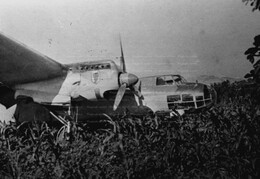 Dornier Do 17F