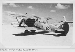 173 Squadron