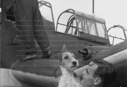 8/StG/2 Unknown Leutnant