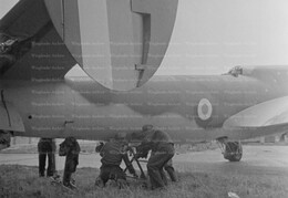 Lioré et Olivier 451