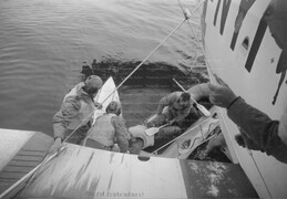 Heinkel 59N