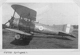 J6974 Short Springbok I