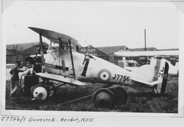 J7756 Gloster Gamecock