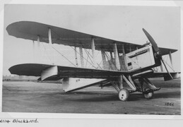 N114 Blackburn Blackburd