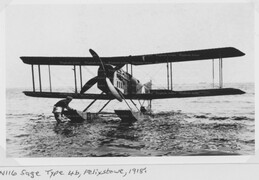 N116 Sage Type 4b