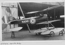 N1019 Sopwith Baby