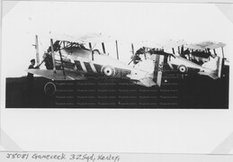 J8081 Gloster Gamecock