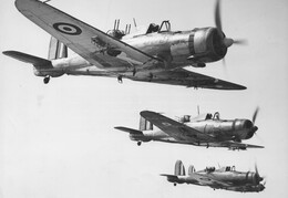 Blackburn Roc