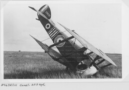 D9638 Sopwith Camel