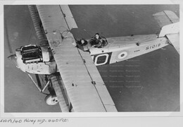 S1019 Fairey IIID