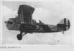 S1056 Blackburn Blackburn II