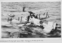 S1106 Fairey IIID