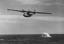 Consolidated Catalina