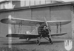 Gloster Gamecock