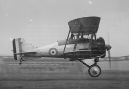 Gloster Gamecock