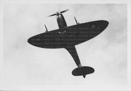 MD351 Supermarine Spitfire VIII