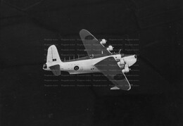 KJ168 Short Sunderland