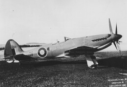 VB895 Supermarine Seafang 32