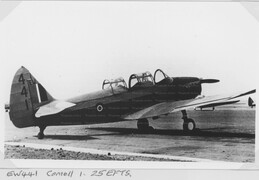 EW441 Fairchild Cornell I