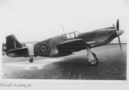 FD449 North American Mustang IA