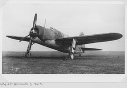 FF425 Brewster Bermuda I