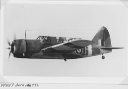 FF557 Brewster Bermuda I