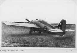 FN106 Grumman Martlet IV