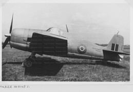 FN322 Grumman Hellcat I